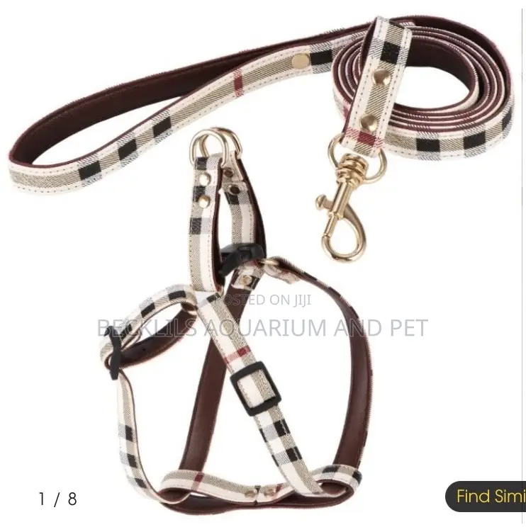 Adjustable Leash With Harness