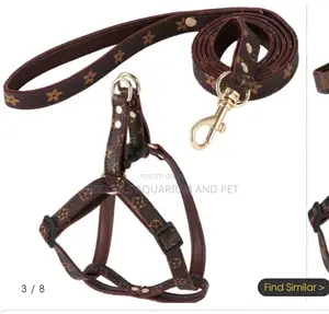 Adjustable Leash With Harness
