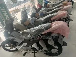 New Apsonic AP110-3A 2025 Silver