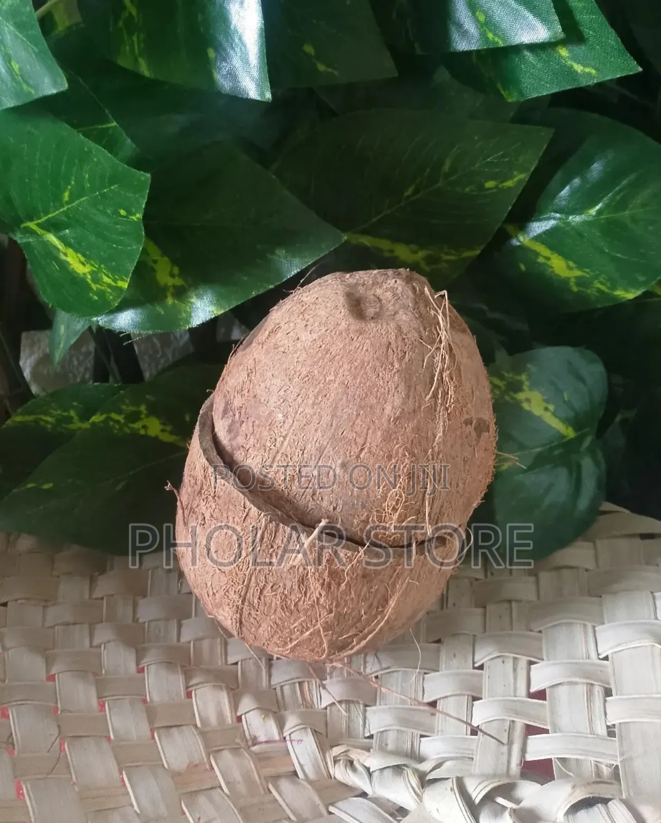 Coconut Business Booster Soap