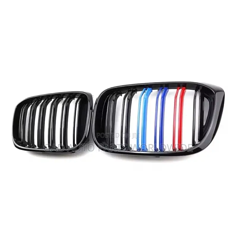 BMW Front Bumper Grill F10,F30,X5,X6