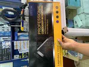 Professional Condenser Microphone