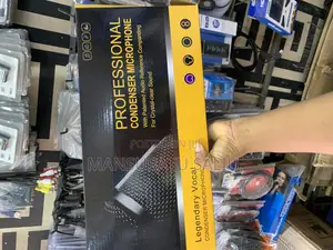 Professional Condenser Microphone
