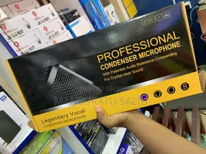 Professional Condenser Microphone