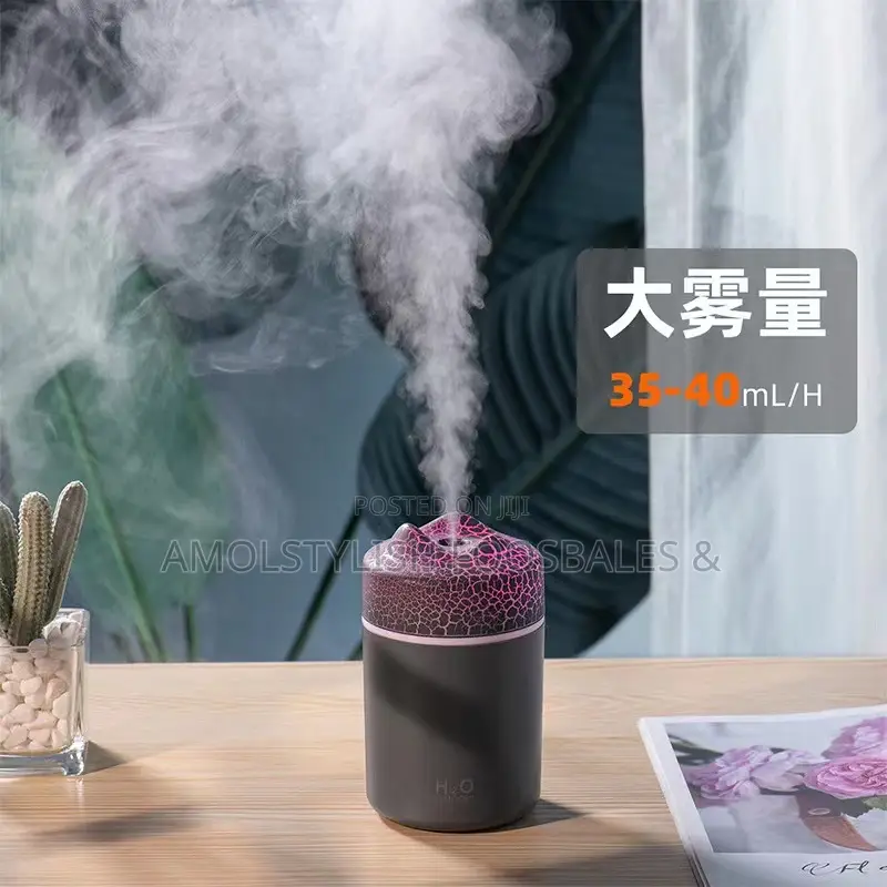 Diffuser (Plus One Free Oil)