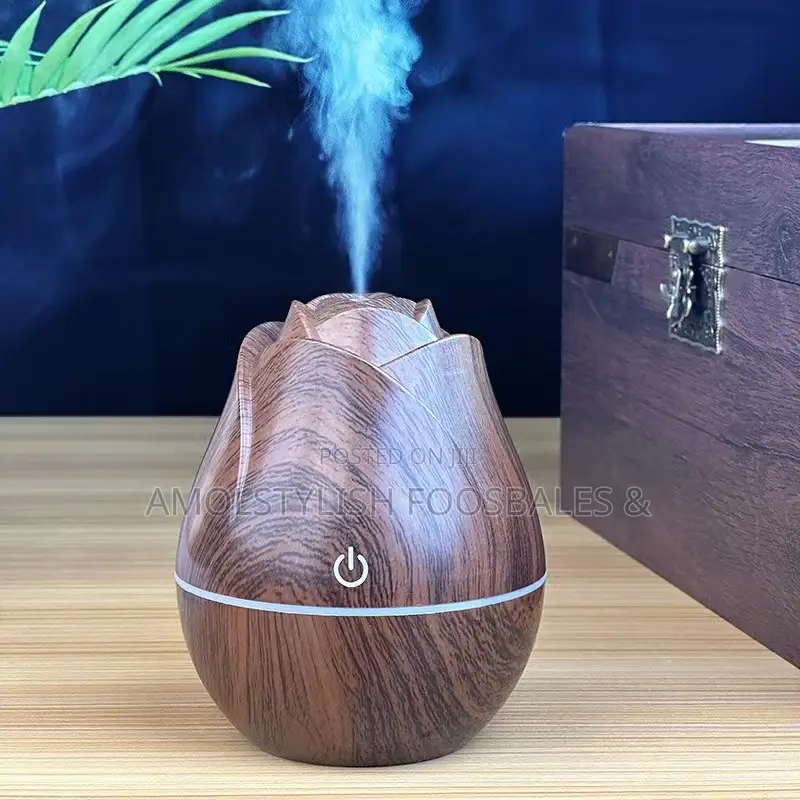 Diffuser (Plus One Free Oil)