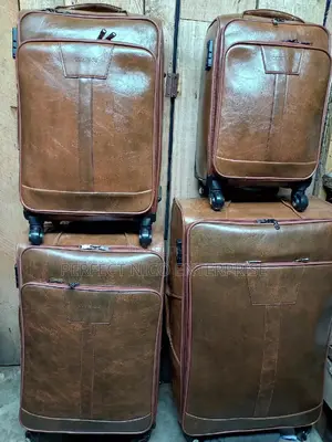 Compass Suitcase Luggage Bag Set