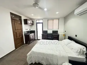 Furnished 1bdrm Apartment in Nmai Dzorn for rent