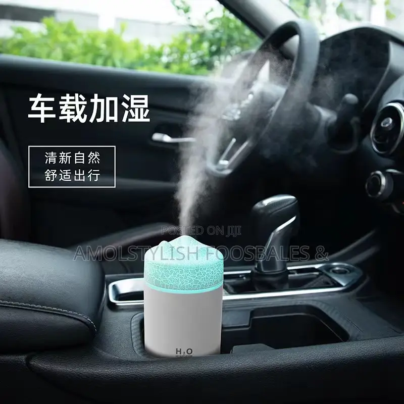 Diffuser (Plus One Free Oil)