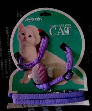 Harness for Cats