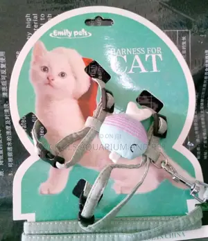Harness for Cats