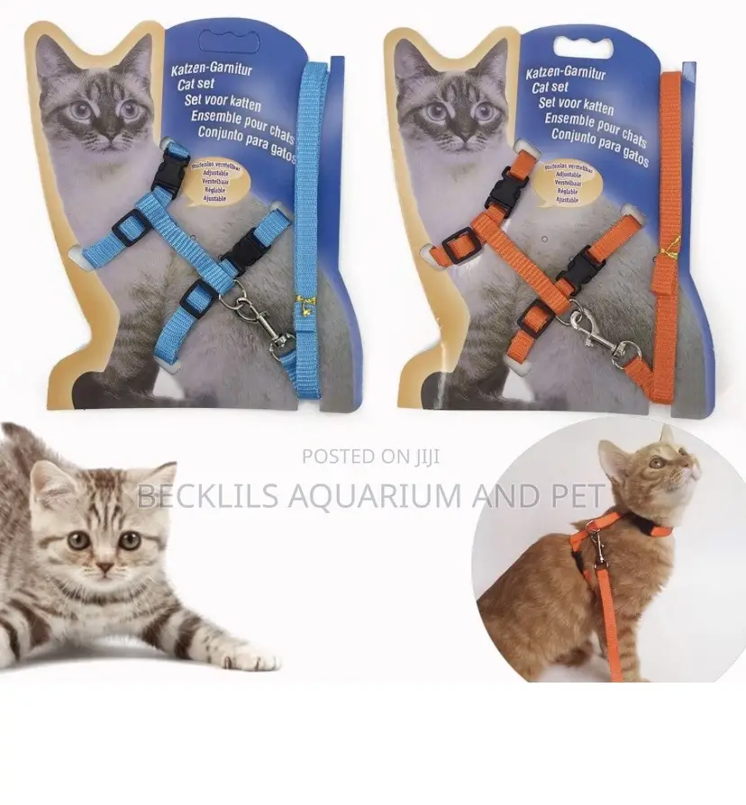 Cat Harness and Leash Set