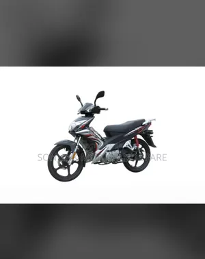 New Sonlink SL125-10 2024 Silver
