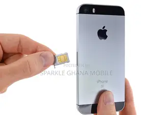 iPhone Se (1st Generation) Sim Tray
