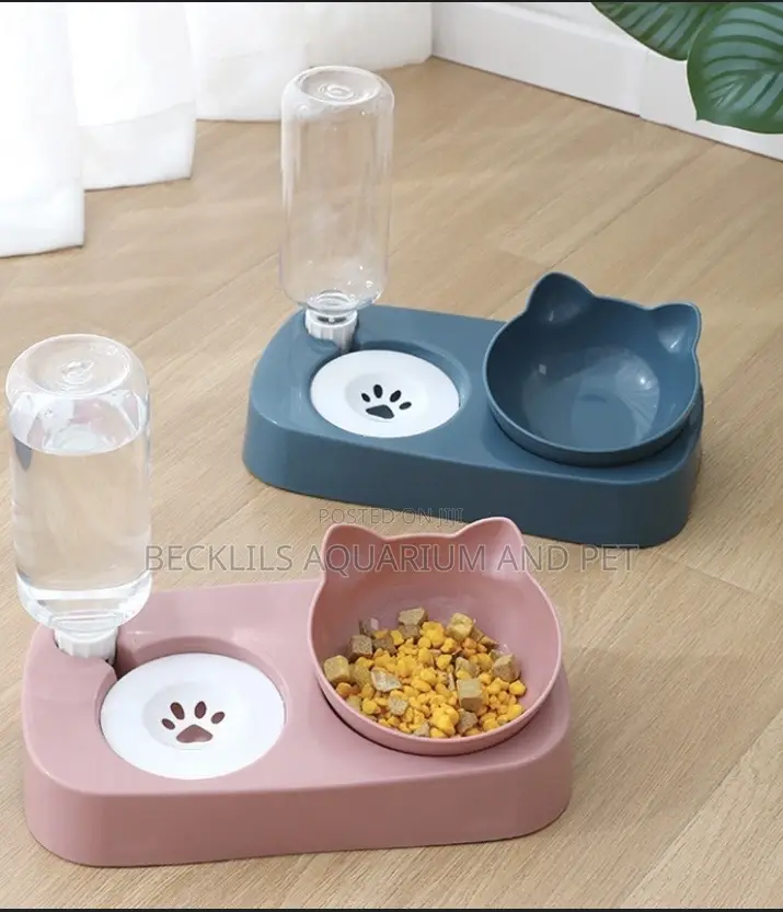 2 in 1 Feeder With Bottle