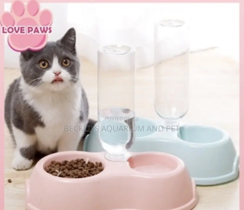 2 in 1 Feeder With Bottle