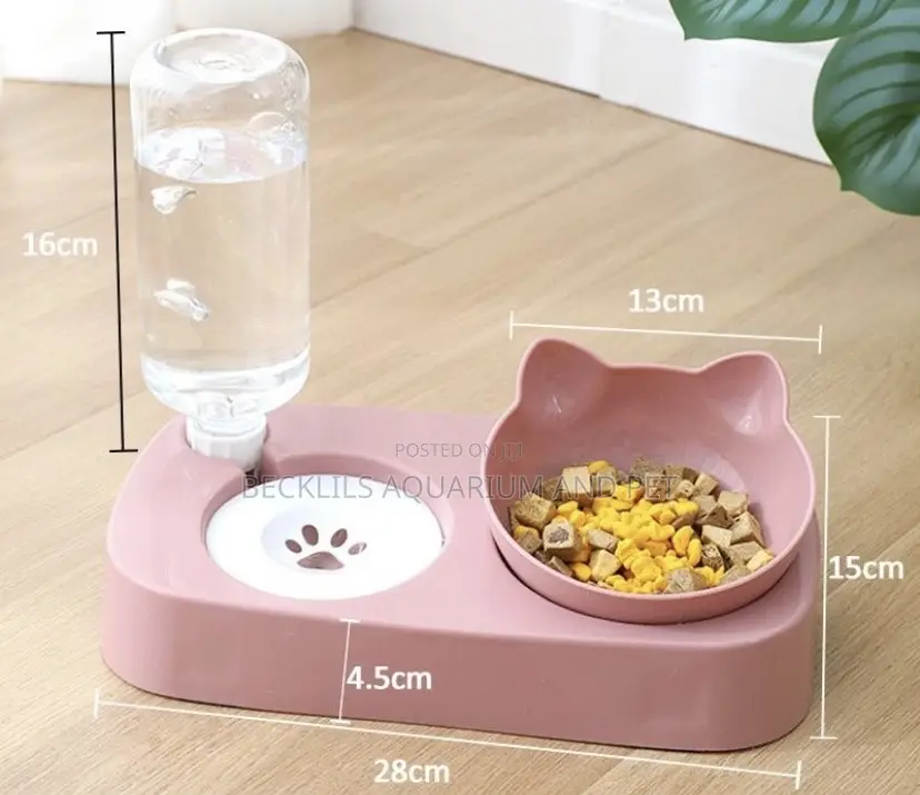 2 in 1 Feeder With Bottle