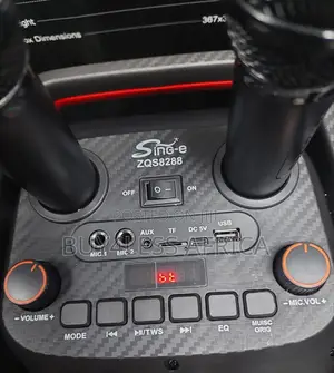 Boombox Speaker 2 Microphone