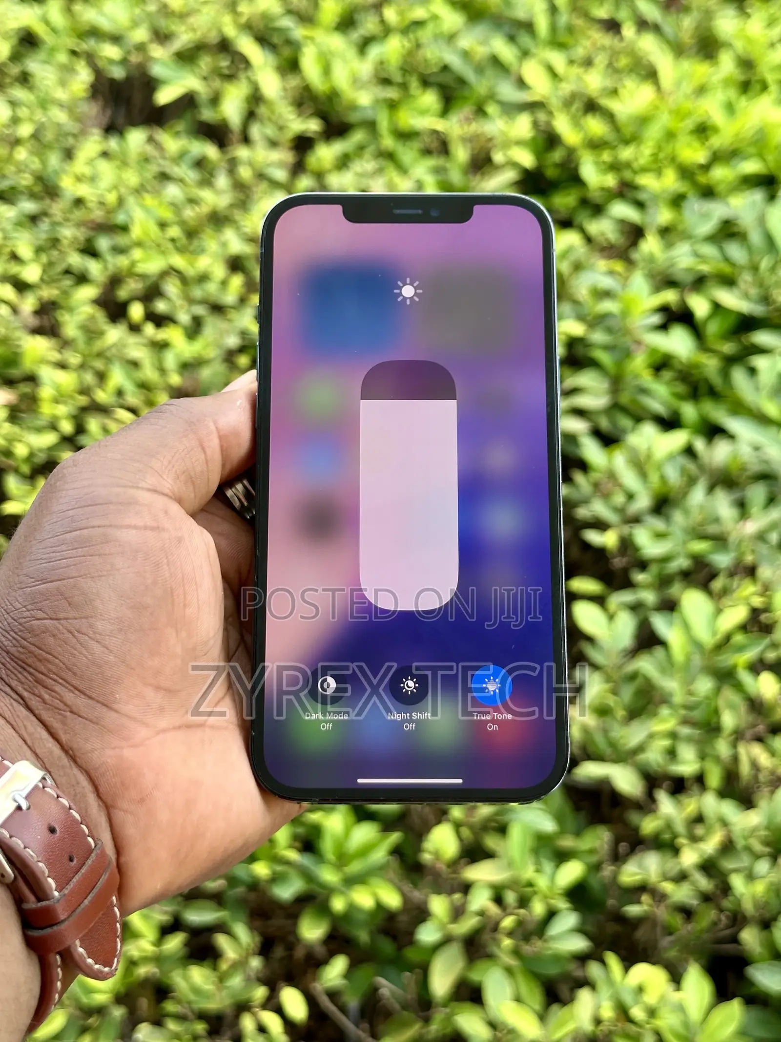 Apple iPhone 12 Pro Max 256 GB Blue