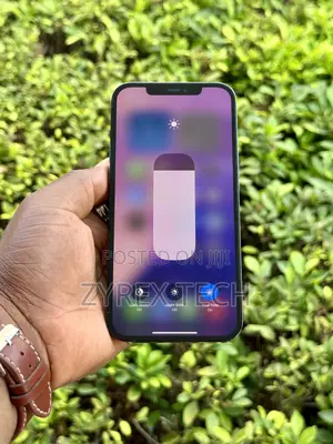 Apple iPhone 12 Pro Max 256 GB Blue