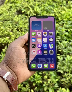 Apple iPhone 12 Pro Max 256 GB Blue
