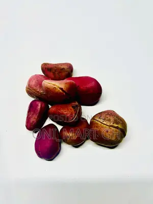 African Kola Nut