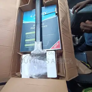 Quality Camry Stainless Steel Platform Scale 300kg