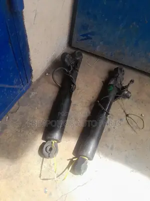 Lexus Rx350 2018 to 2020 Back Shocks Absorbers