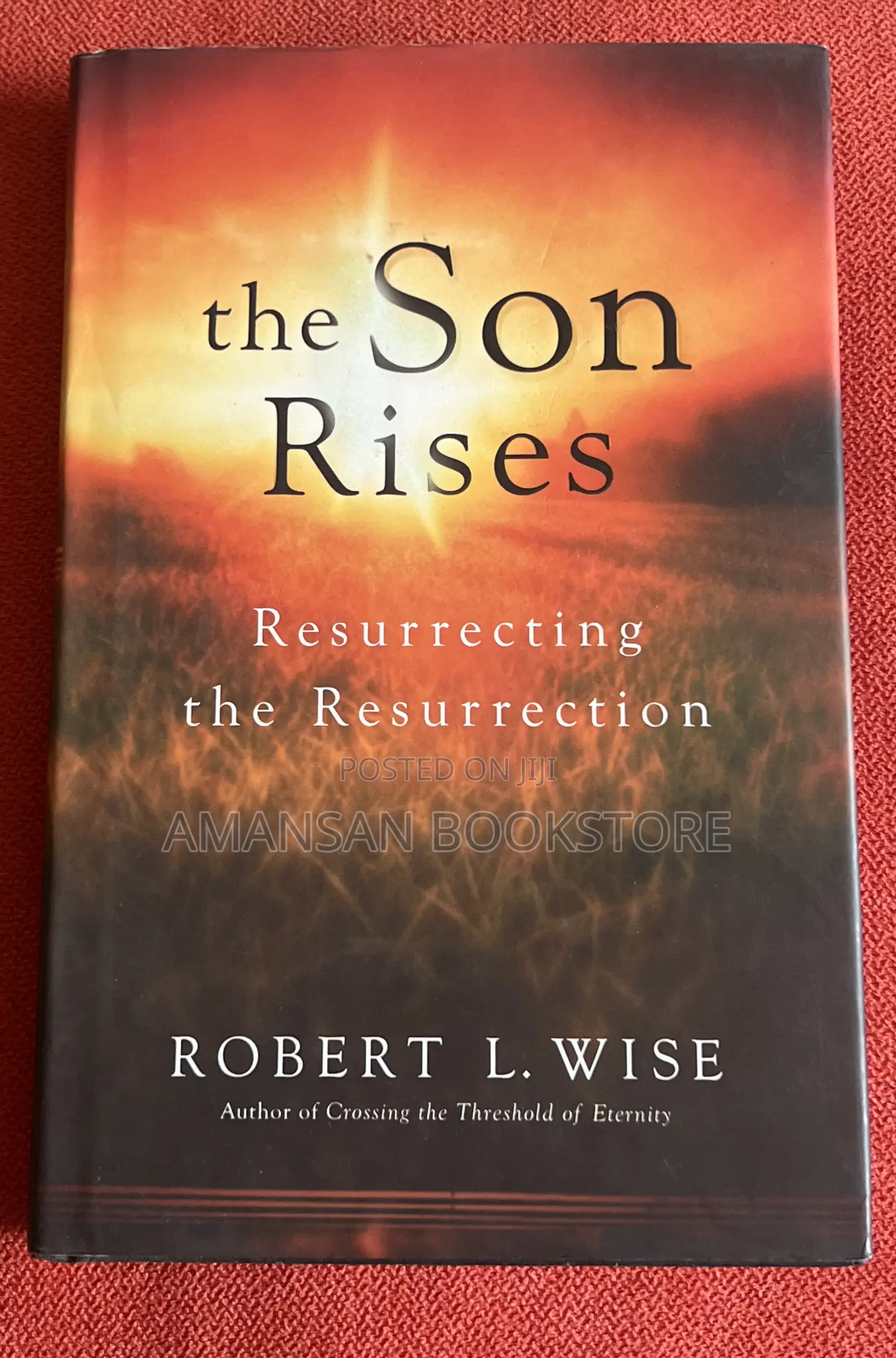 The Son Rises