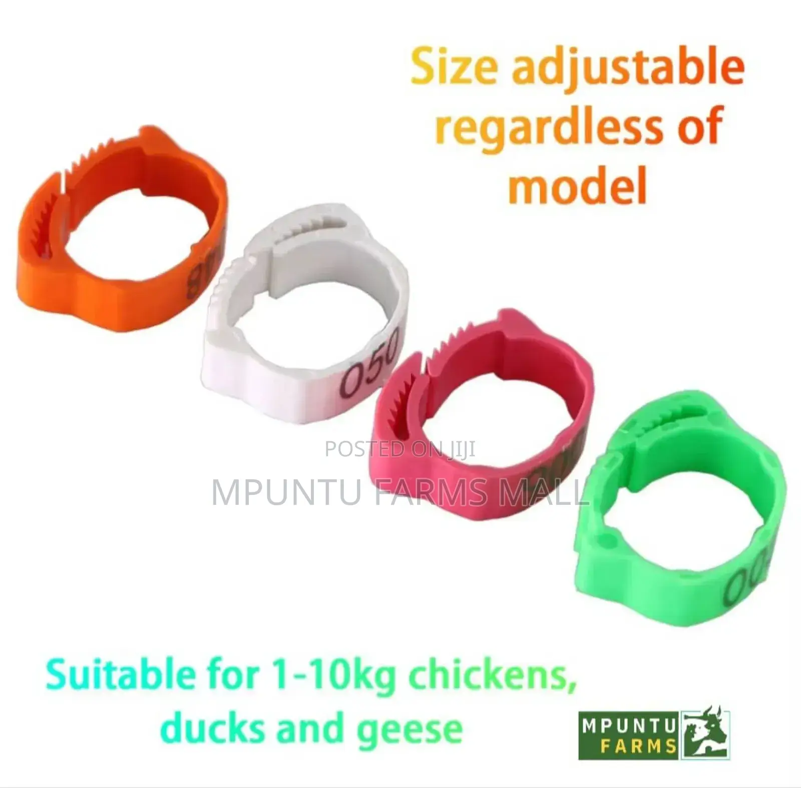 Chicken/Ducks/Geese/Guinea Fowl Tags(Anklet)