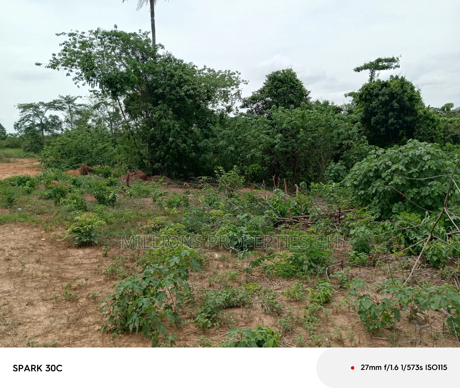 Farmlands for Sale Effiduase