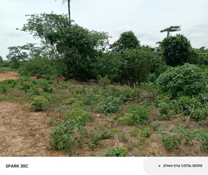 Farmlands for Sale Effiduase