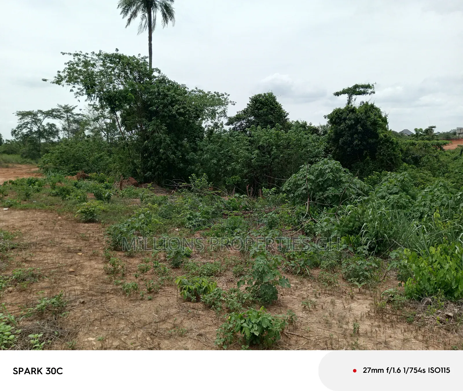 Farmlands for Sale Effiduase