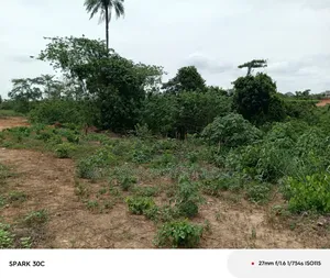 Farmlands for Sale Effiduase