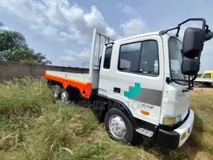 2015 Hyundai Gold Double Axle. New Arrival.