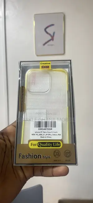 iPhone 13 Pro Fashion Style Case