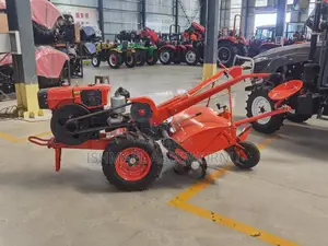 15 Walking Tractor With Tiller and Plough