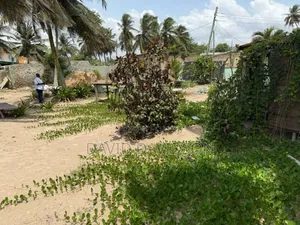 Beach Front, Kokrobitry,