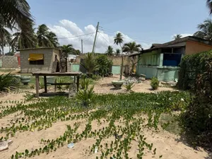 Beach Front, Kokrobitry,