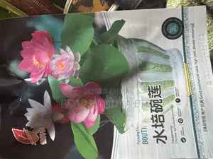 Hydroponic Lotus Flower Seeds