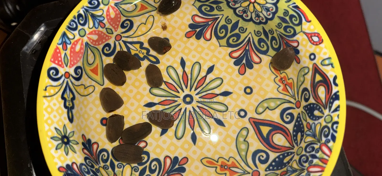 Hydroponic Lotus Flower Seeds