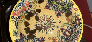Hydroponic Lotus Flower Seeds