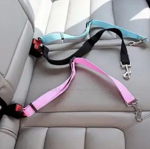 Car Set Belt Leash