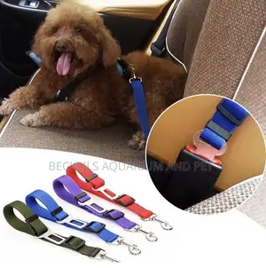 Car Set Belt Leash
