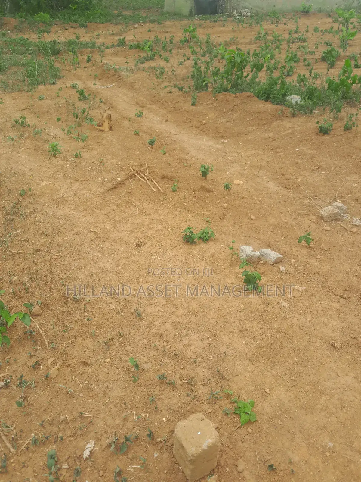 Half Plot Forsale at Adietem-Mpatado