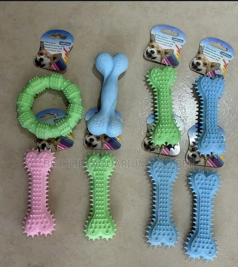 Play Toys for Dogs and Flat