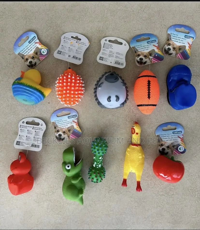 Play Toys for Dogs and Flat
