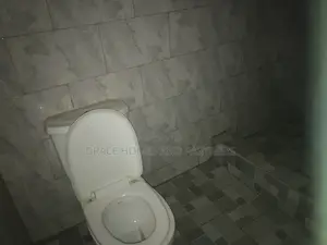 1bdrm Apartment in Gbetsile Us Station, Tema Metropolitan for rent