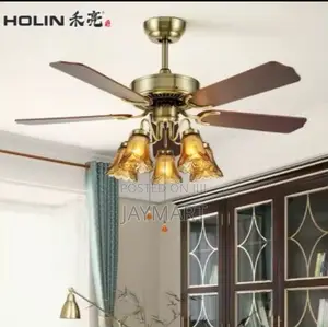 Ceiling Fanlight With Led Bulbs