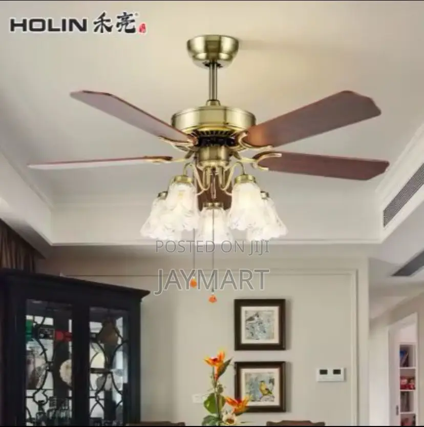 Ceiling Fanlight With Led Bulbs